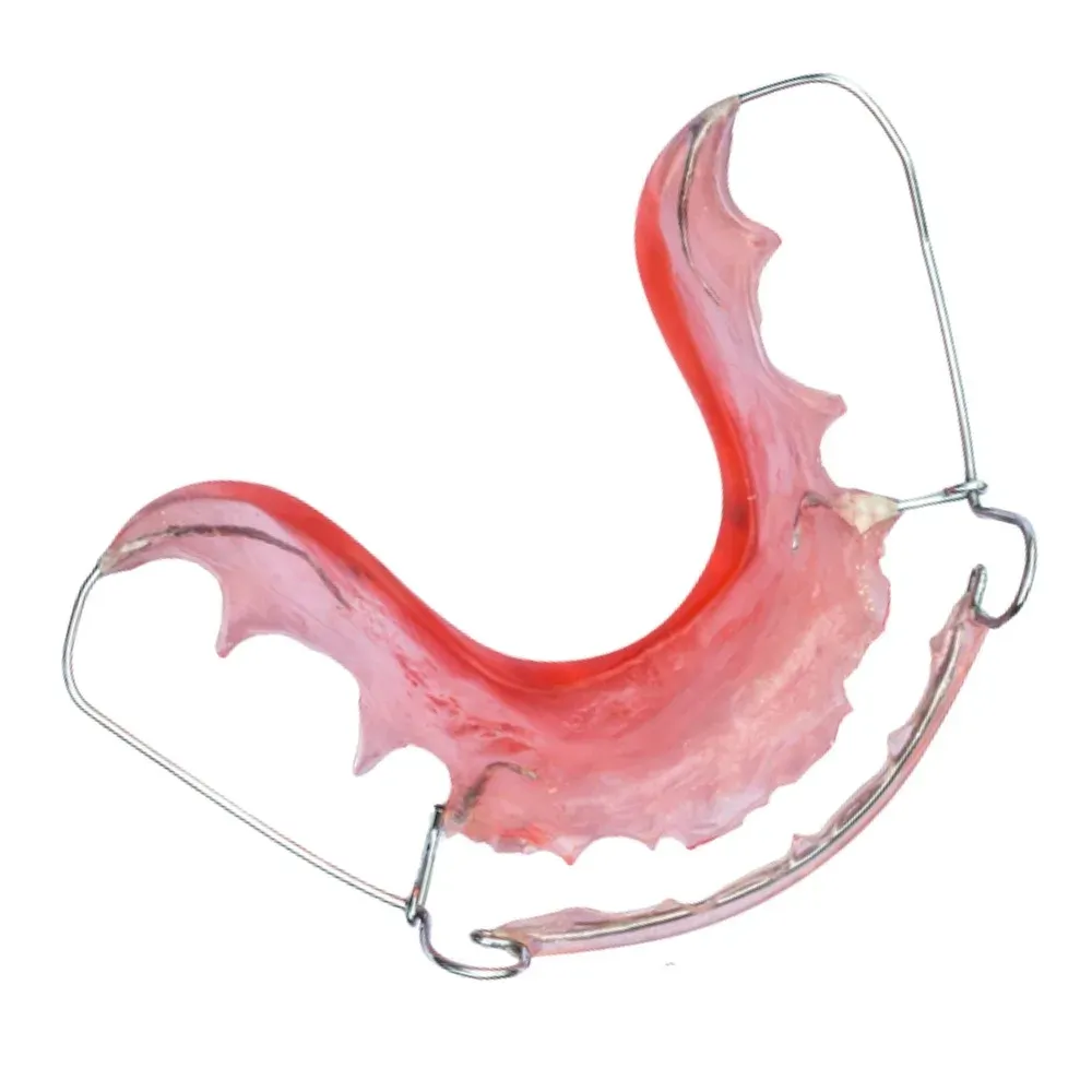 A Hawley retainer — labial bow over an acrylic base