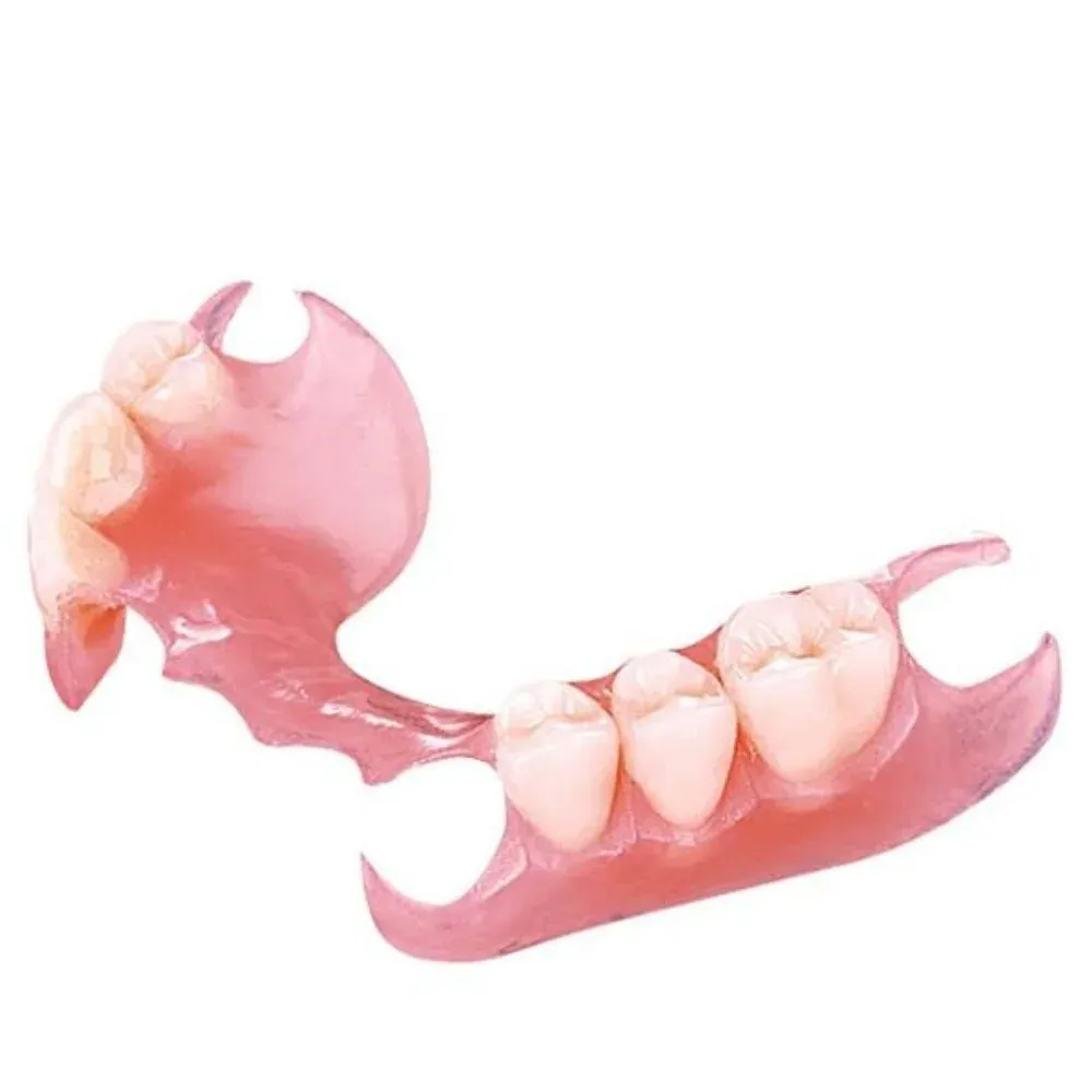 Valplast nylon partial with gum-colored clasps